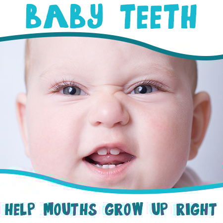 Germantown dentist, Dr. Liu & Dr. Lin at Clarksburg Dental Center, discusses the importance of baby teeth in setting the stage for good oral health later in life.